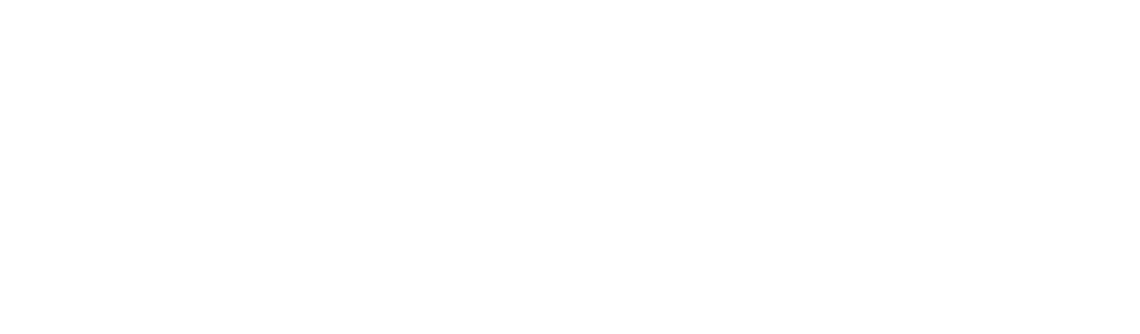 Software y seguridad