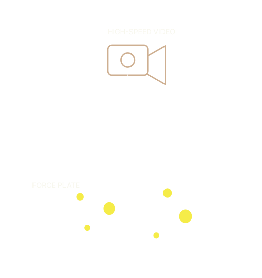 Swing Catalyst technology diagram