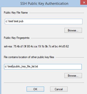 Setup Xlight Ftp Server With Ssh2 Sftp Protocol - Stunning City Background - Full HD