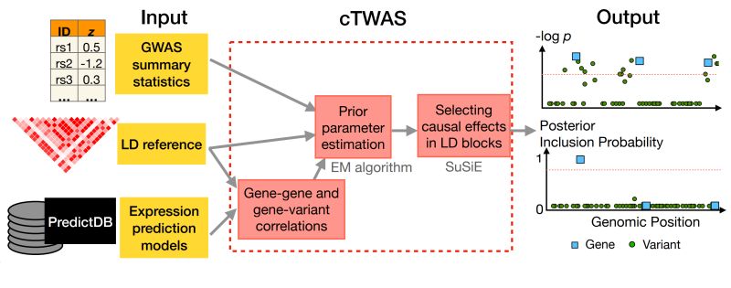 Github Mancusolab Twas Sim Using Real Genotype Data Simulate A - Best Nature Designs in Desktop