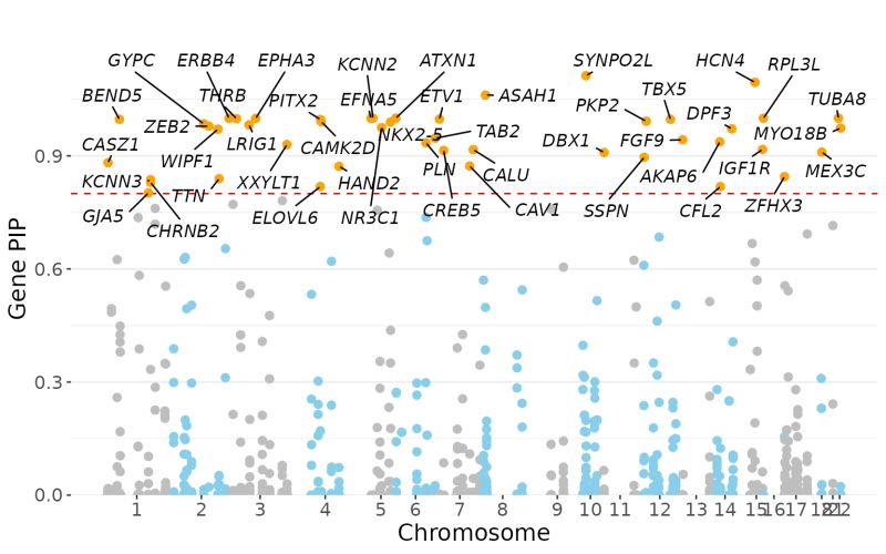 Gene Mapping Tutorial Mapgen - Premium Ocean Photo Gallery - Ultra HD