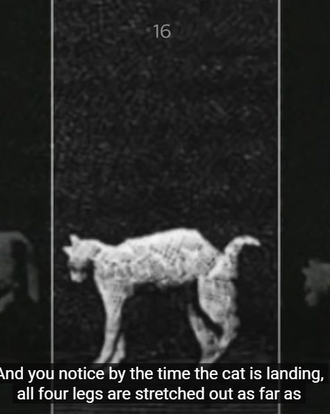 Github Jdegand Angular Cat Wiki Angular 17 Conversion Of My - Download Incredible Space Wallpaper | Desktop