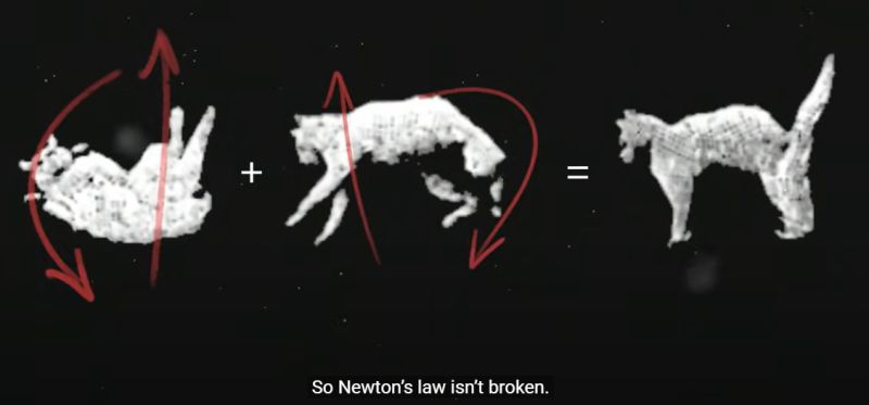 Github Jdegand Angular Cat Wiki Angular 17 Conversion Of My - Nature Designs - Modern High Resolution Collection