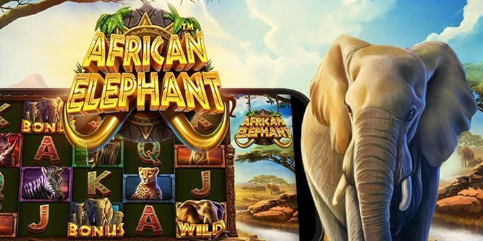 Tips Rahasia Menang Besar Di Slot African Elephant