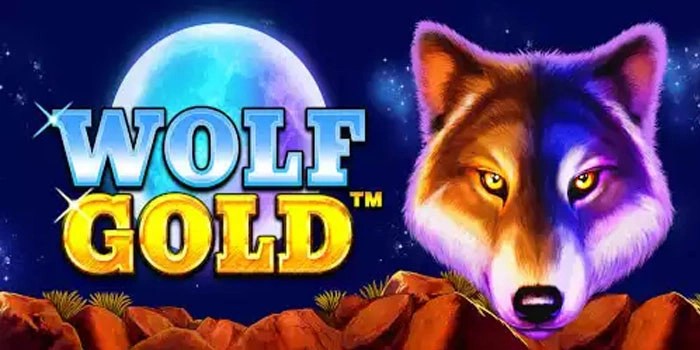 Panduan Bermain Lengkap Agar Menang Terus di Slot Wolf Gold