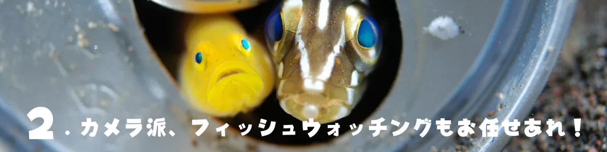 カメラ派、フィッシュウォッチングもお任せあれ！！