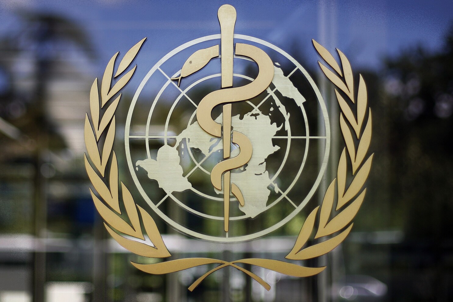La OMS pide a Rusia información sobre posible caso mortal de peste neumónica en Siberia