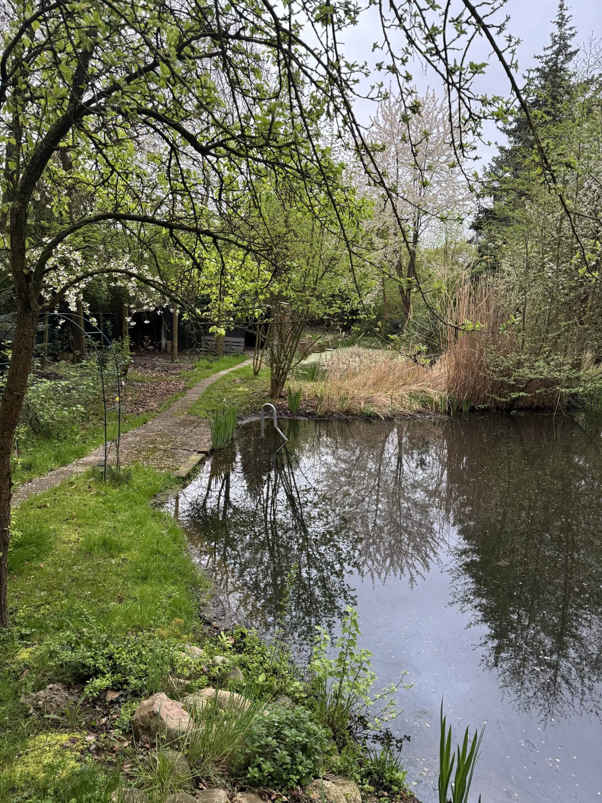 Gepflegter Teich