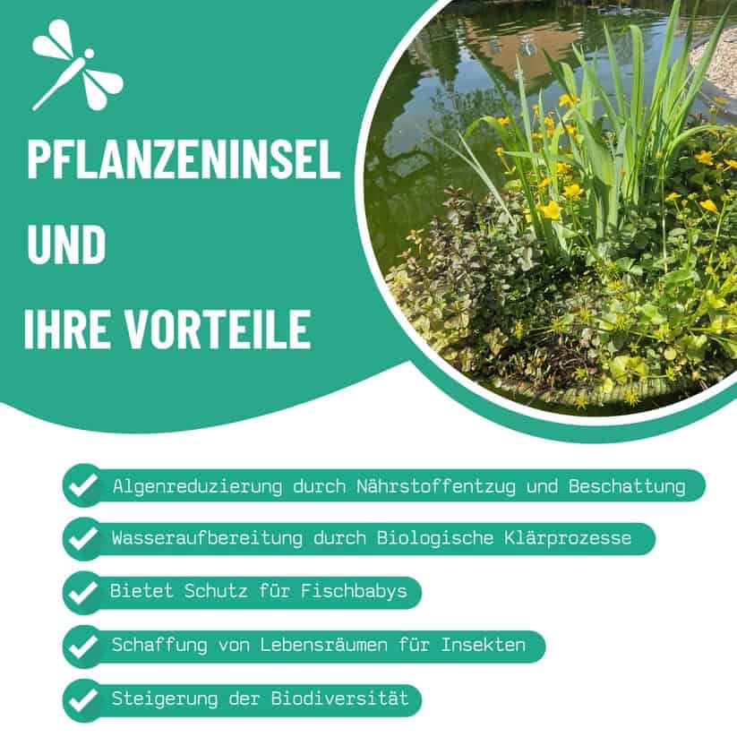 Vorteile von Pflanzeninseln