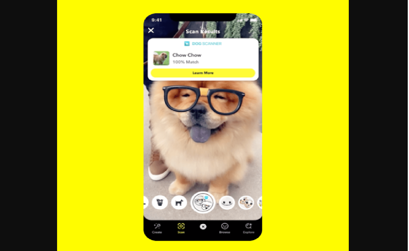 TikTok Popular Dieting Trends Weightloss Trend XH