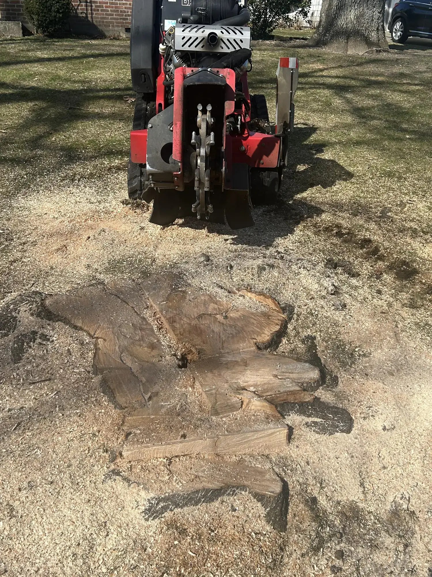 Stump Grinding