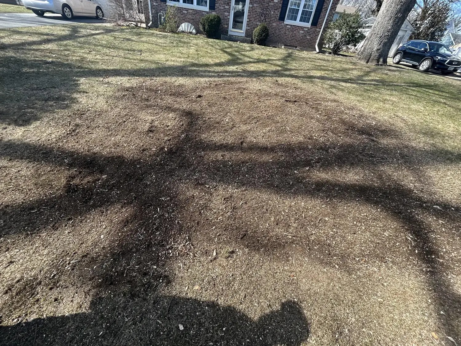 Stump Grinding