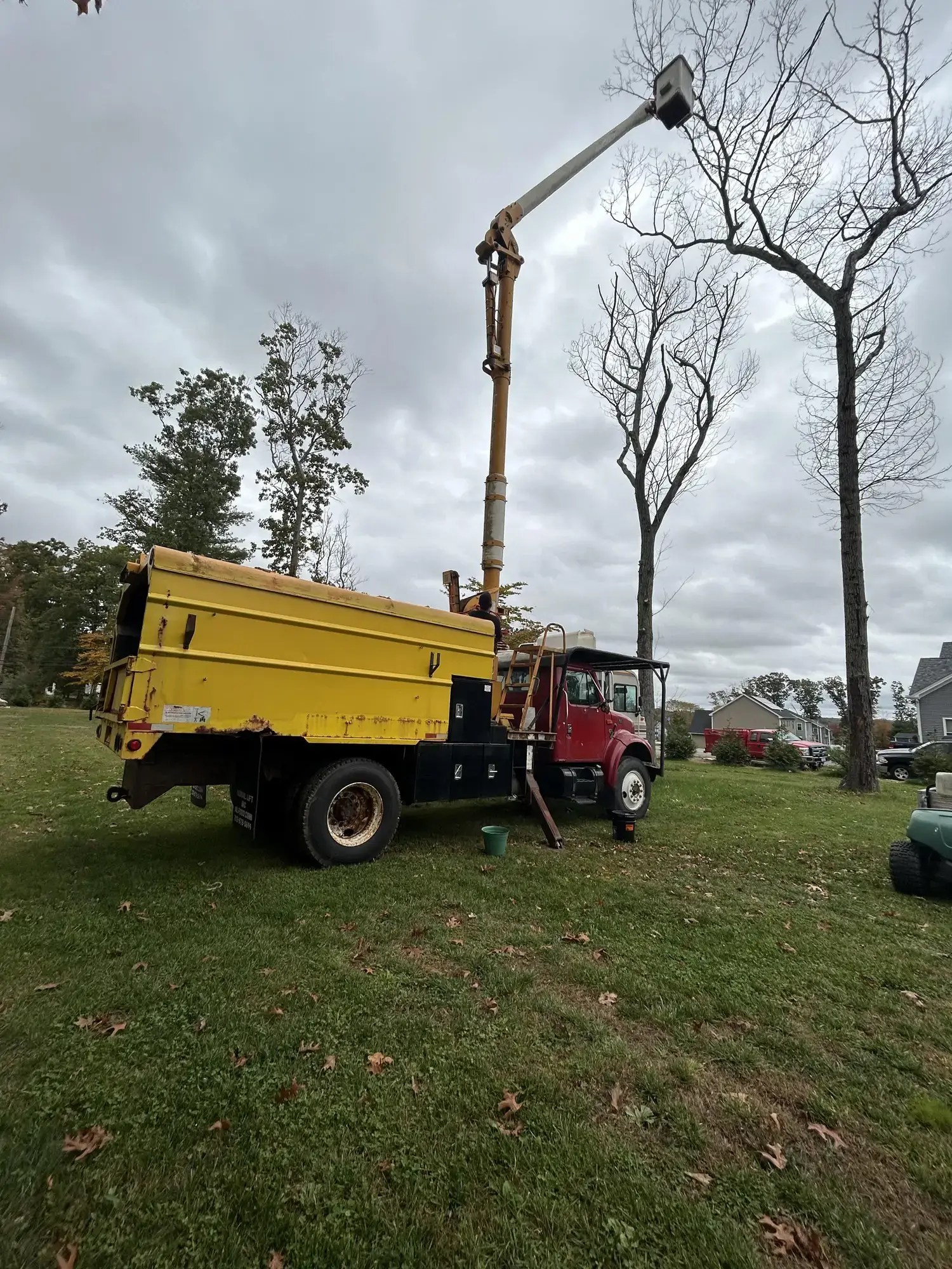 Tree Planting
