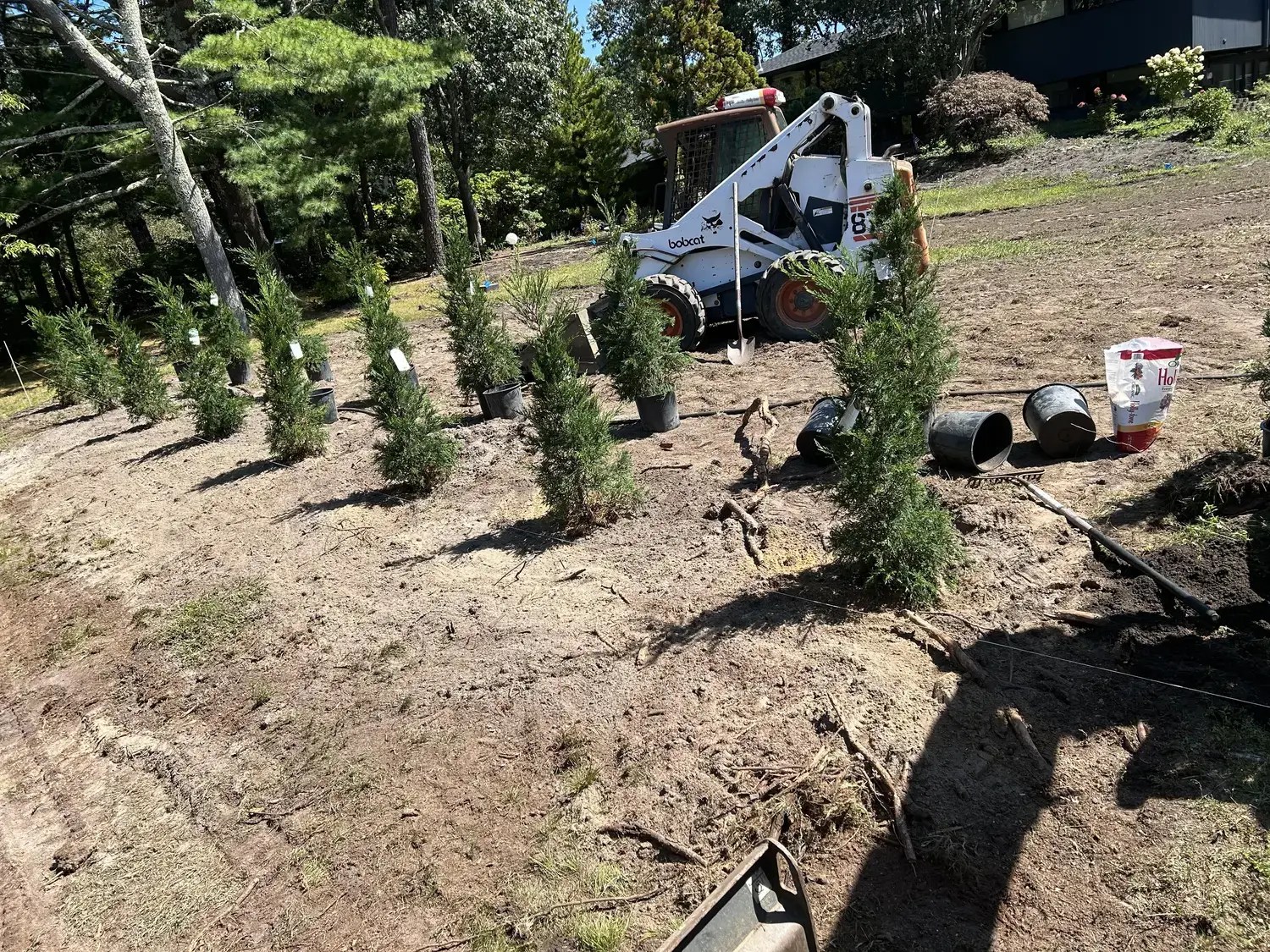 Tree Planting Services