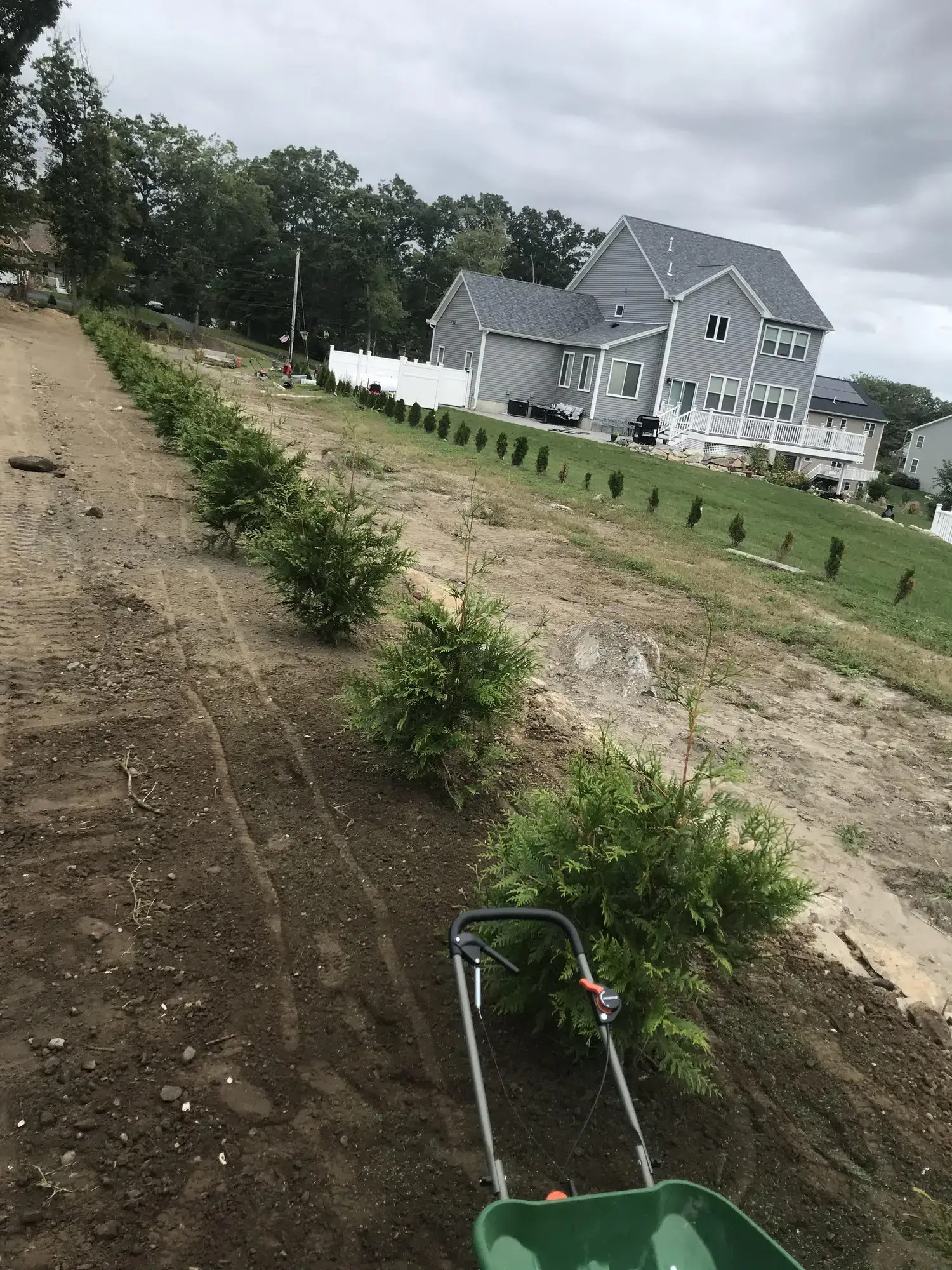 Tree Planting Services