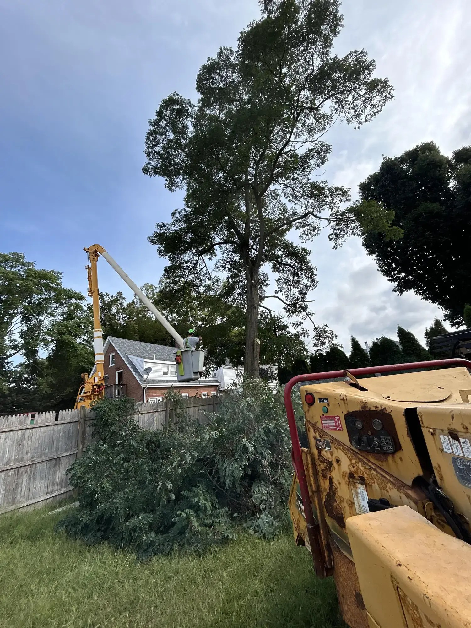 Tree Pruning