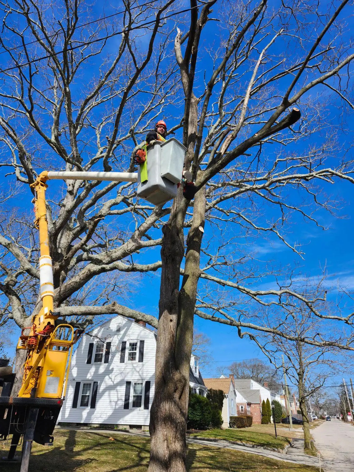 Tree Pruning