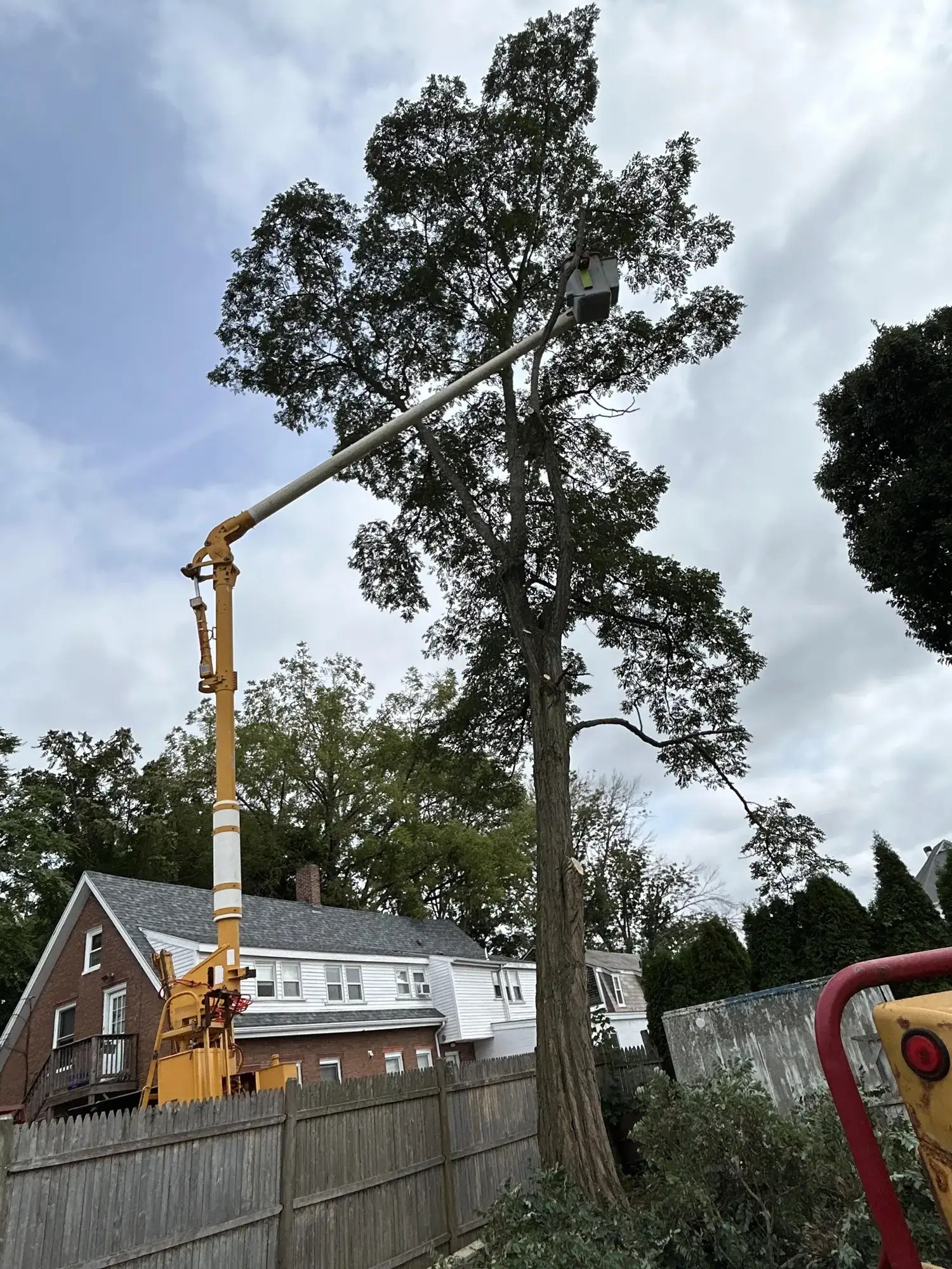 Tree Pruning