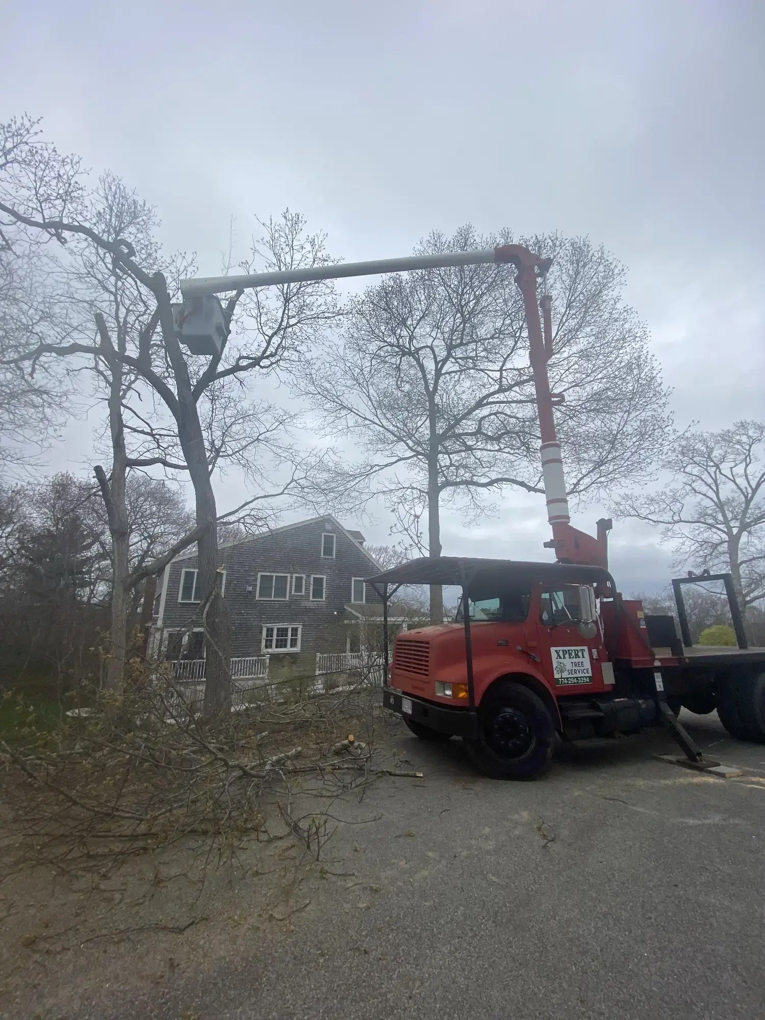 Tree Pruning