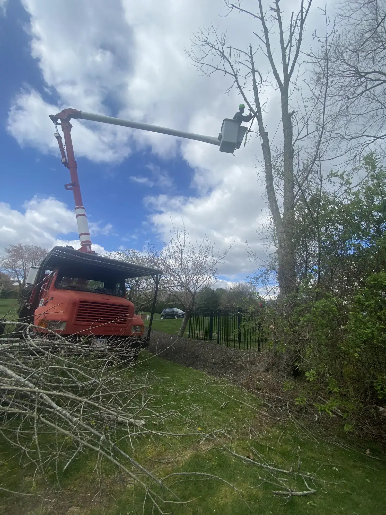 Tree Pruning
