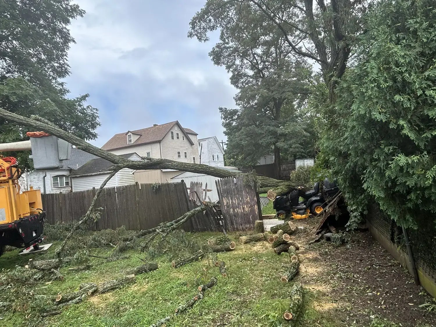 Tree Pruning
