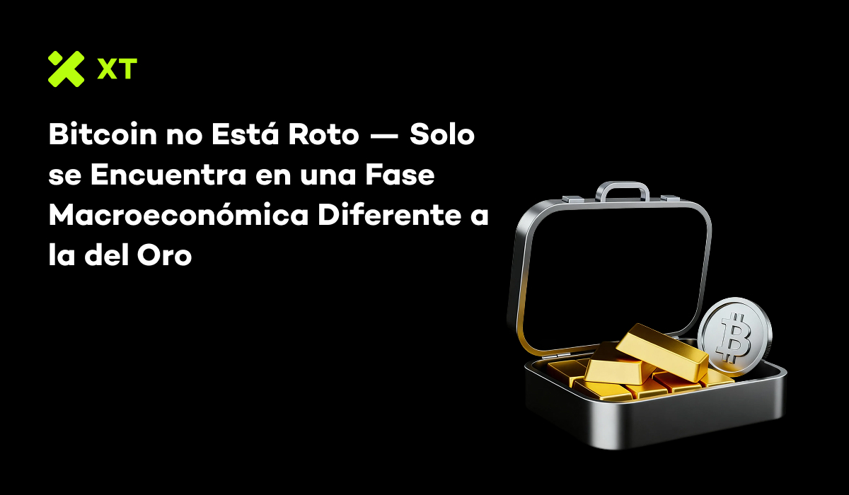 Precio del Oro vs. Bitcoin: Por qué uno Sube mientras el Otro se Consolida