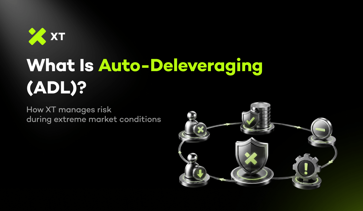 What Is Auto-Deleveraging and How Does It Work on XT?