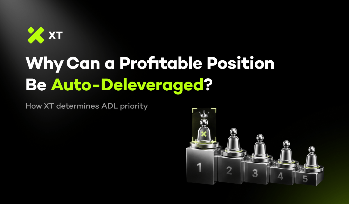 Why Can a Profitable Futures Position Be Auto-Deleveraged?