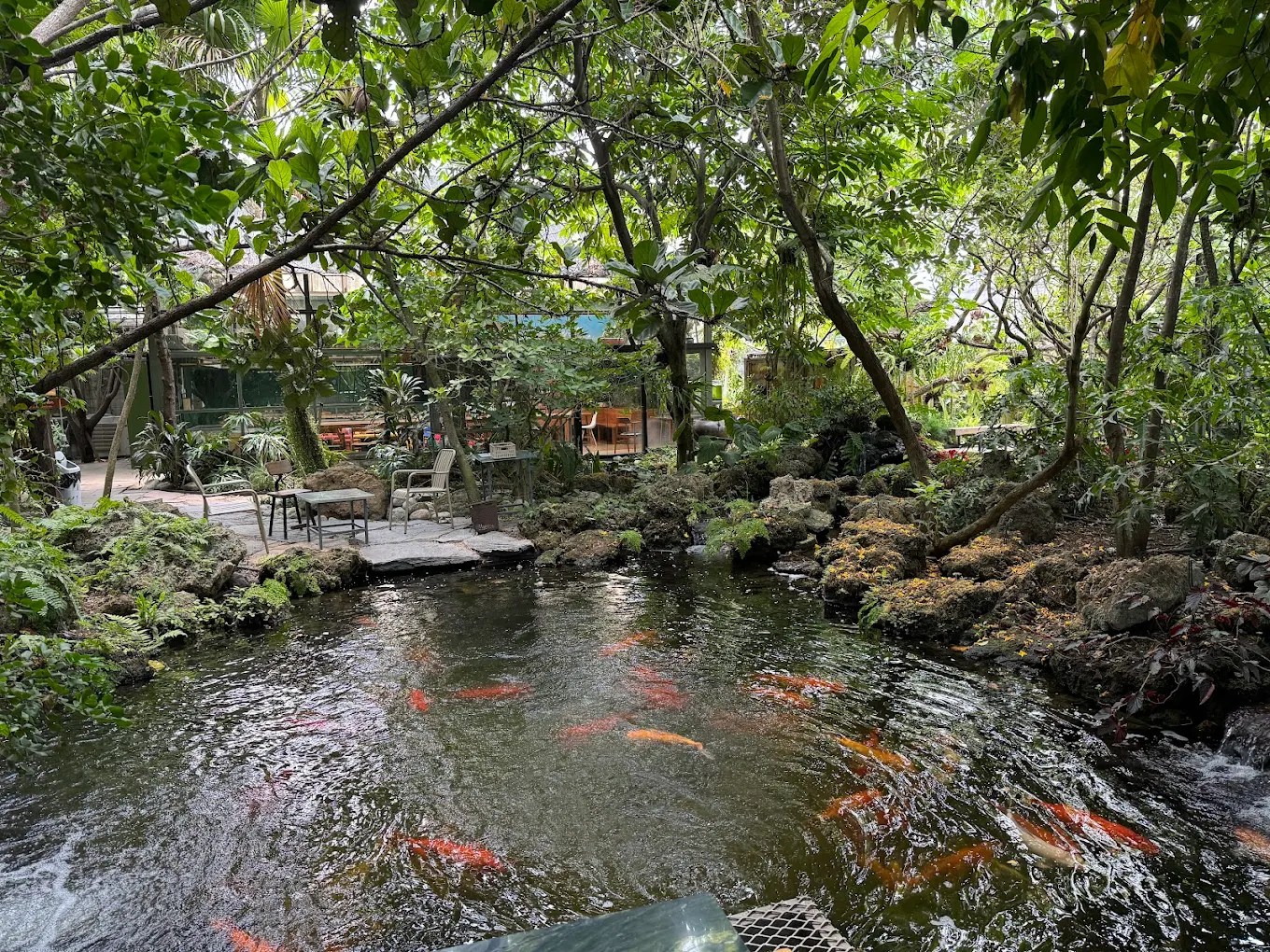 曼谷Botanist Activity Space & More：沙漠与雨林的植物咖啡乐园