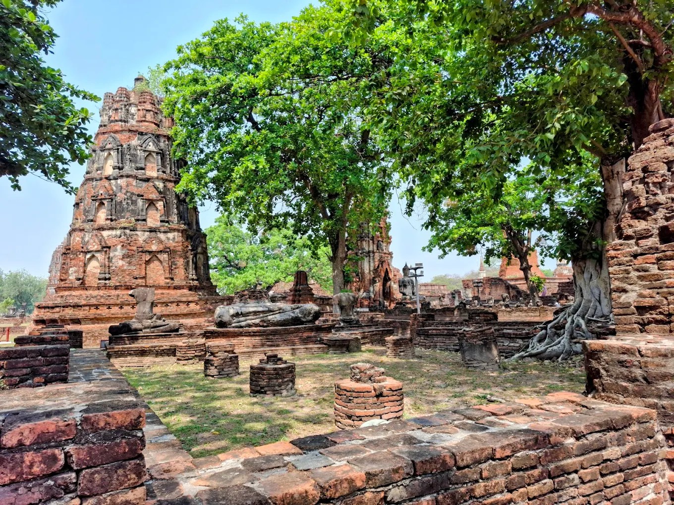 大城玛哈泰寺：树中佛首与高棉遗迹的千年奇观