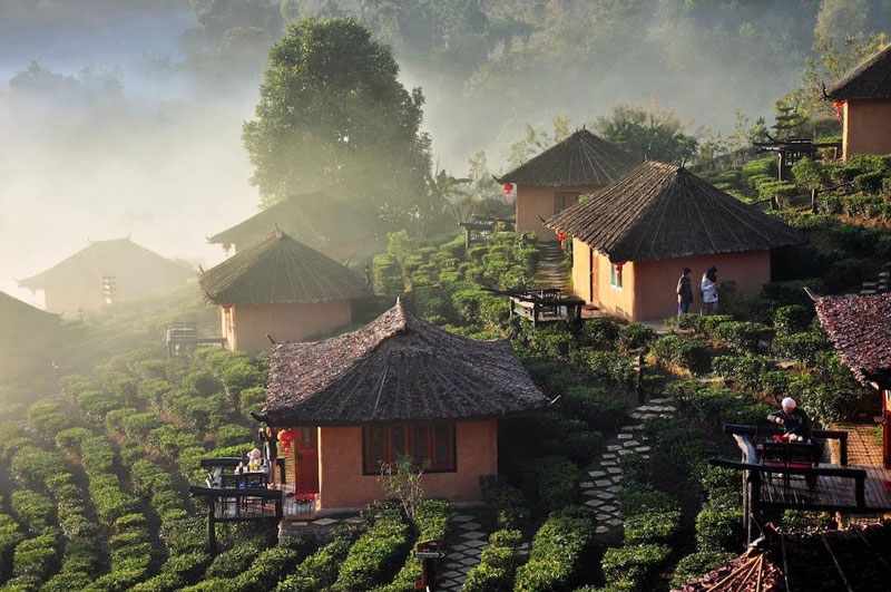 沉浸在茶山里享受中华文化 – Baan Rak Thai, Mae Hong Son