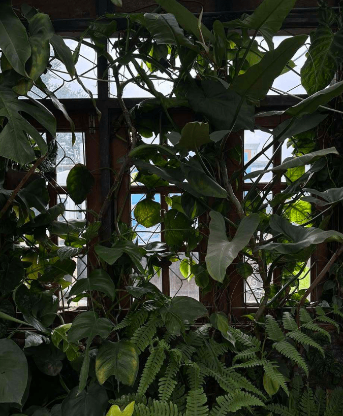 Akipu Coffee 阿奇布咖啡屋