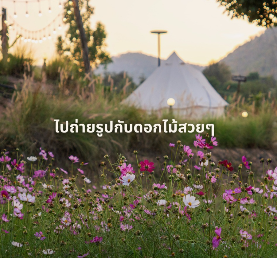 南奔的乡村秘境บ้านสวนคุณย่า Garden & Farmstay的自然与温馨之旅