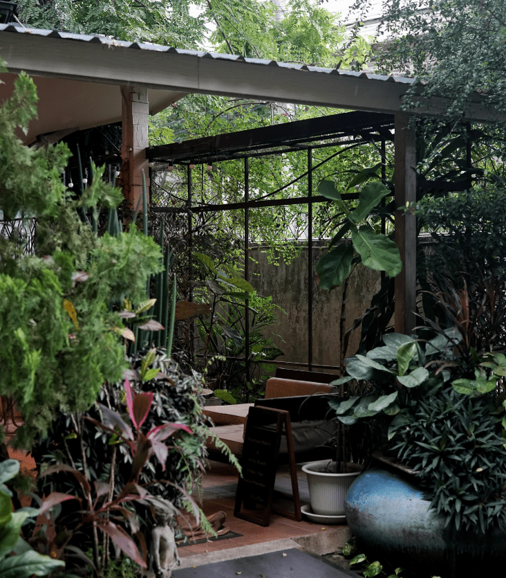 Forest Bake：清迈古城的森林甜蜜秘境