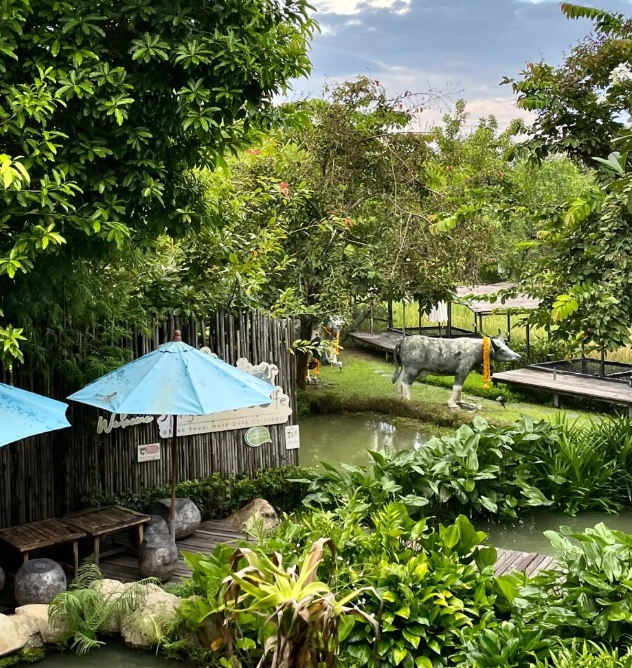 Jungle De Cafe Baan Tawai：清迈稻田中的艺术咖啡秘境