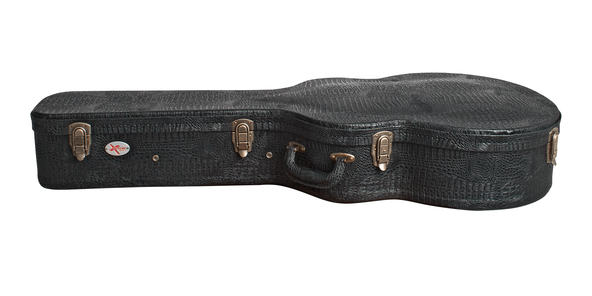 Auditorium ACOUSTIC GUITAR CASE
