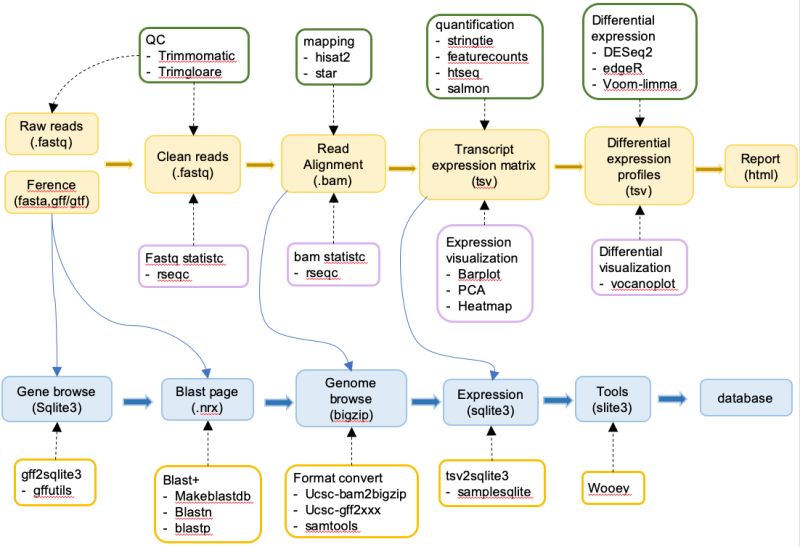 Chip Seq Ngspipedb Document - Elegant Desktop Dark Wallpapers | Free Download