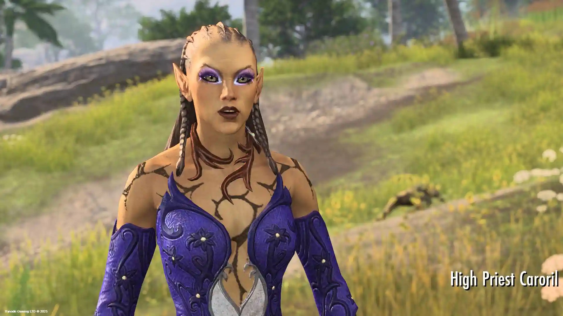 ESO NPC Character High Priest Caroril