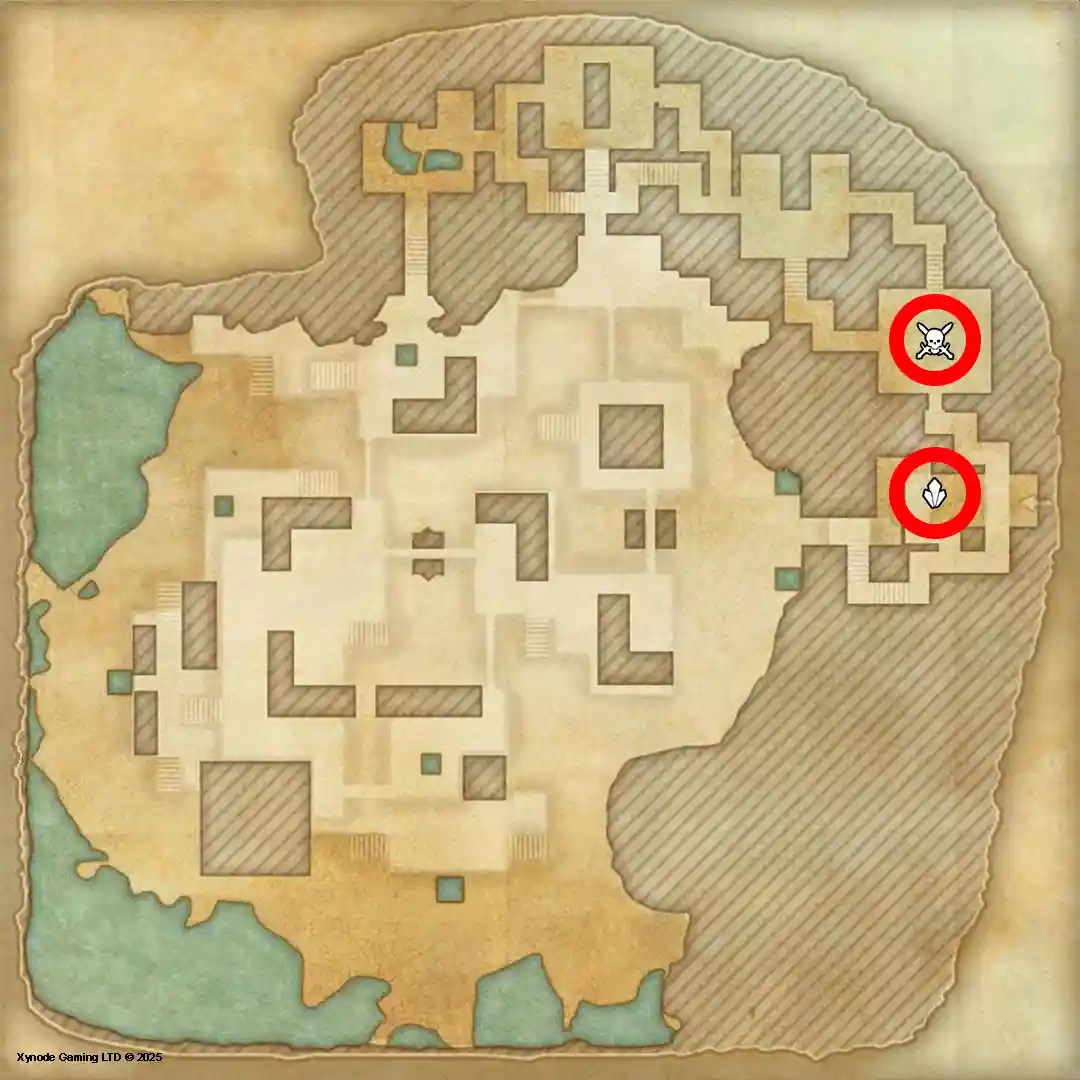 ESO Delve Interior Map Tainted Leel, Solstice