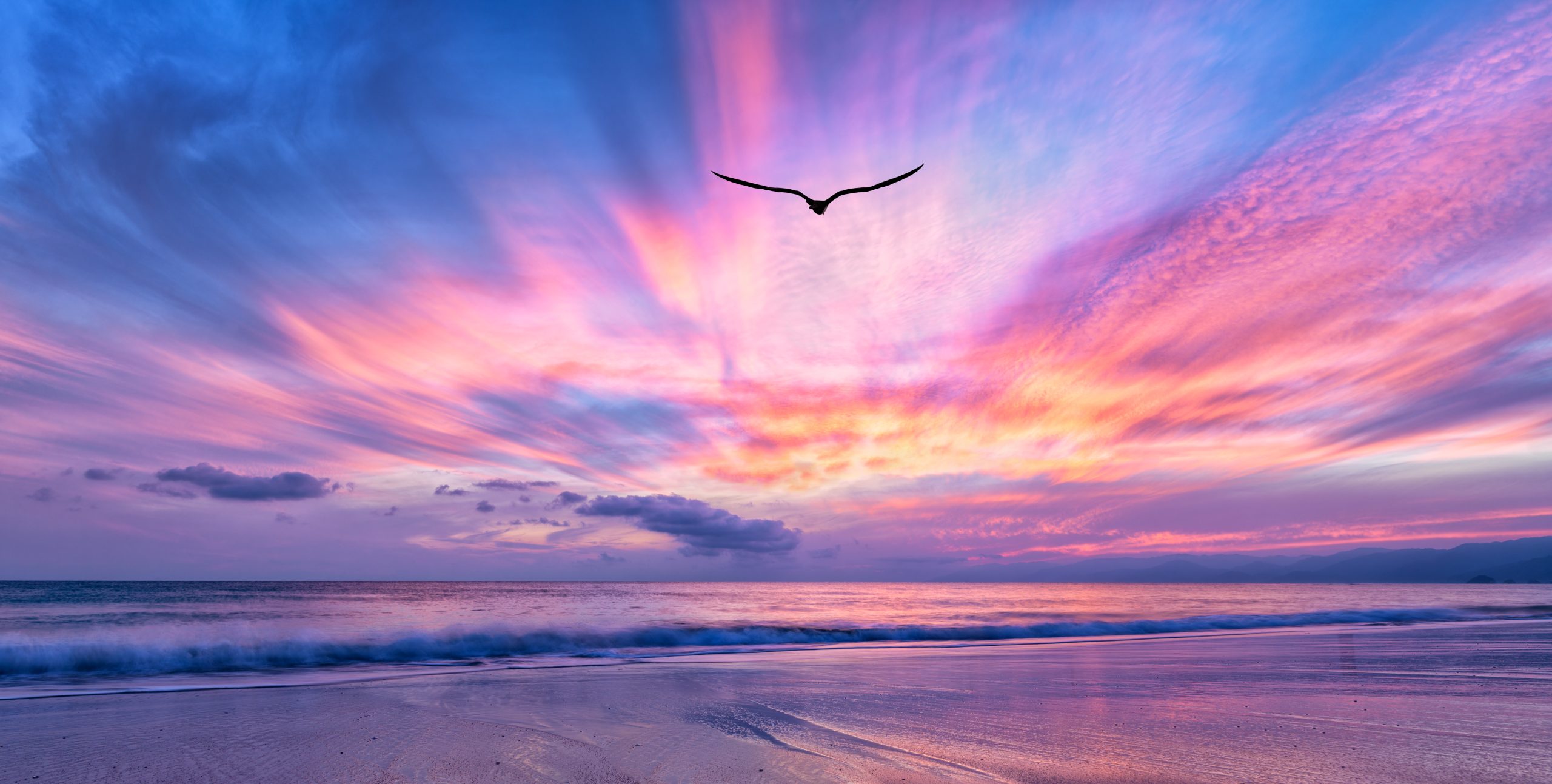 A Bird Silhouette Is Soaring Above The Colorful Clouds At Sunset