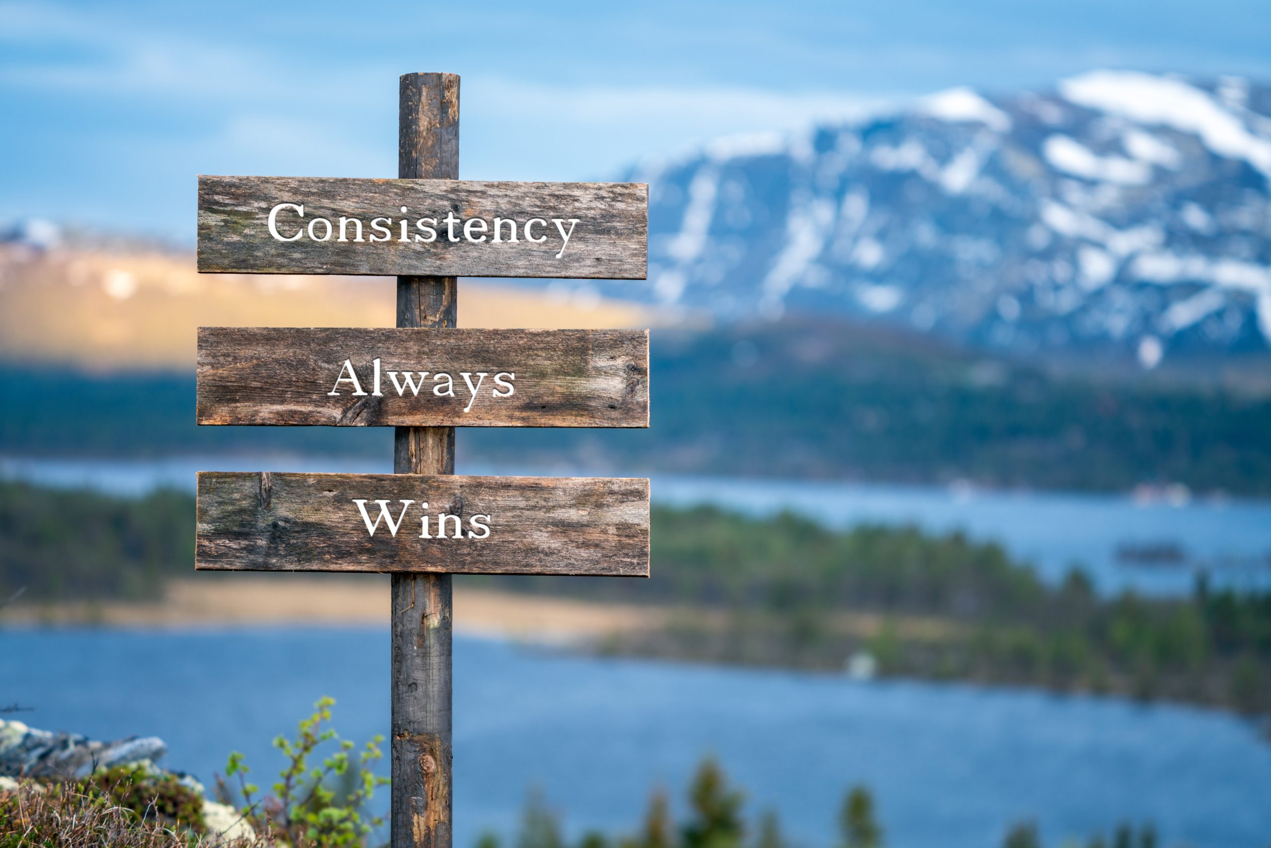 consistency always wins text quote on wooden signpost outdoors in nature during blue hour.