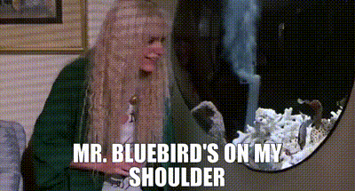 Yarn Mr Bluebird S On My Shoulder Splash 1984 Video Gifs By Quotes F2a1b544 รง´