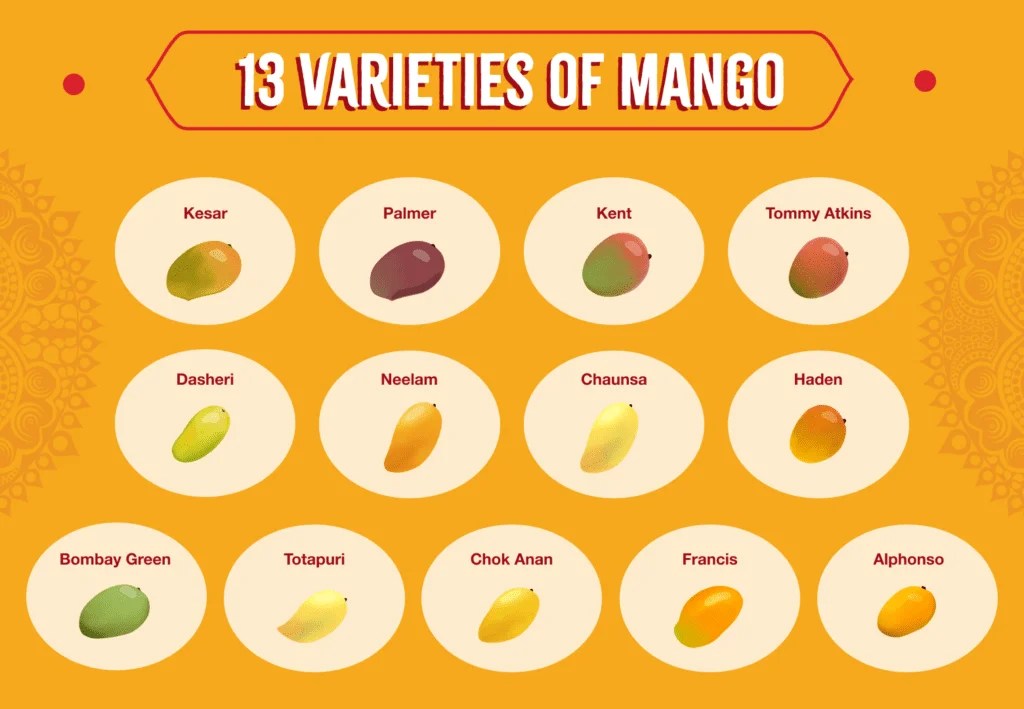 Mango Varieties in India