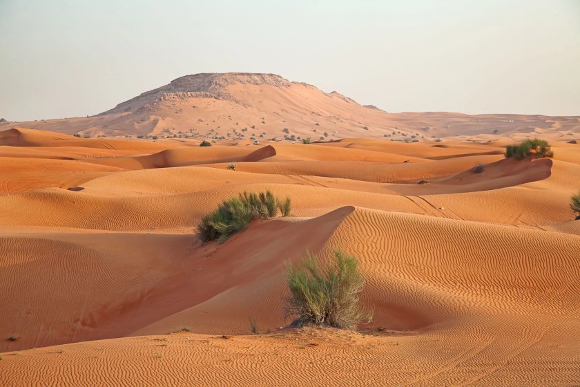 The Arabian Desert