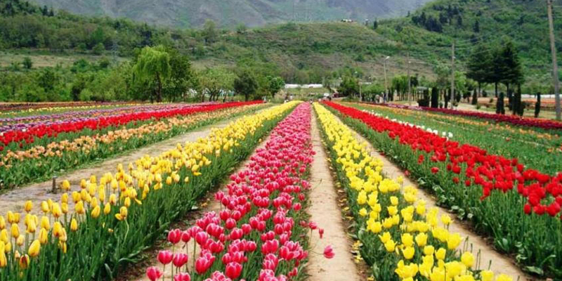 Most Famous Gardens in India