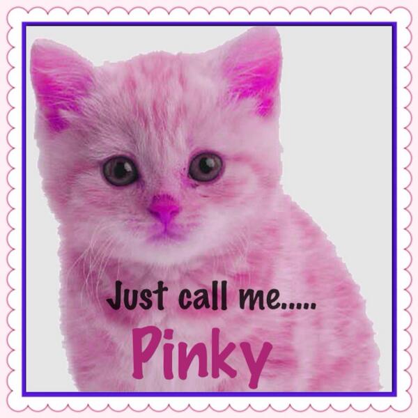 pinkykitteh