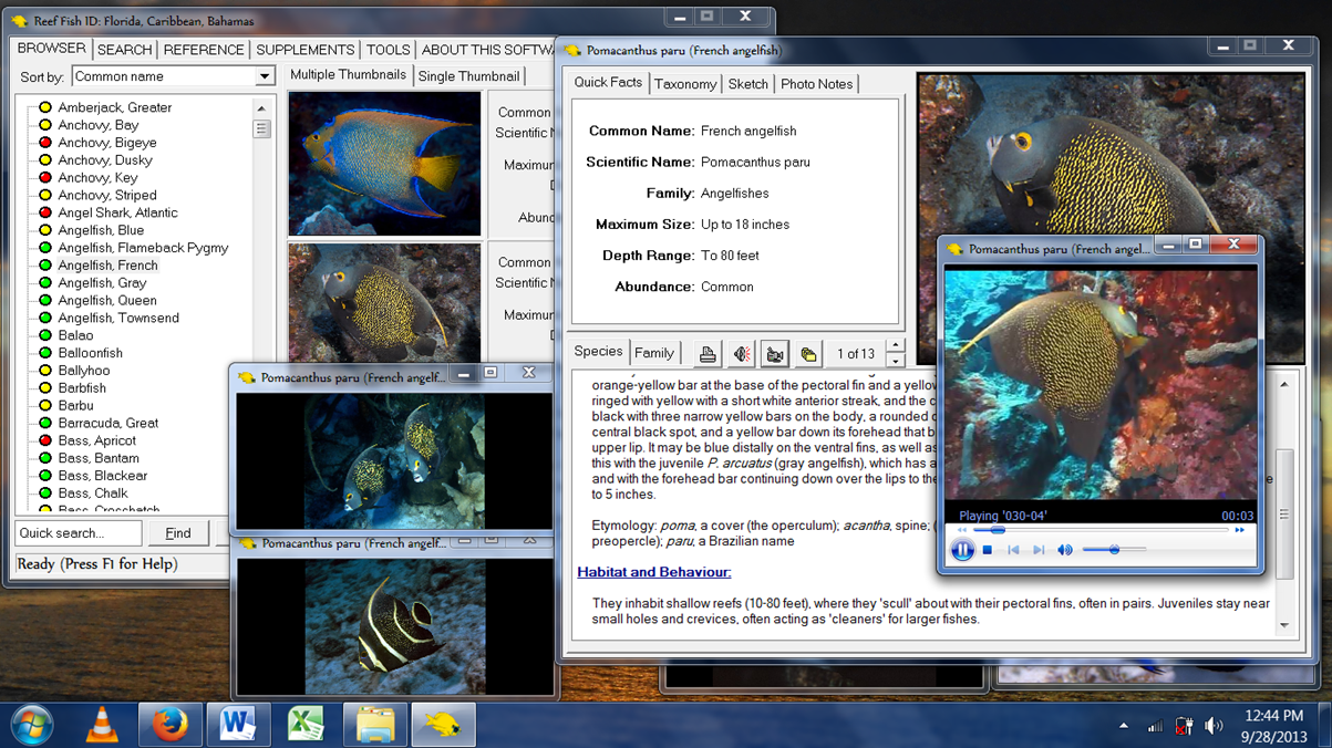 Reef Fish Identification software