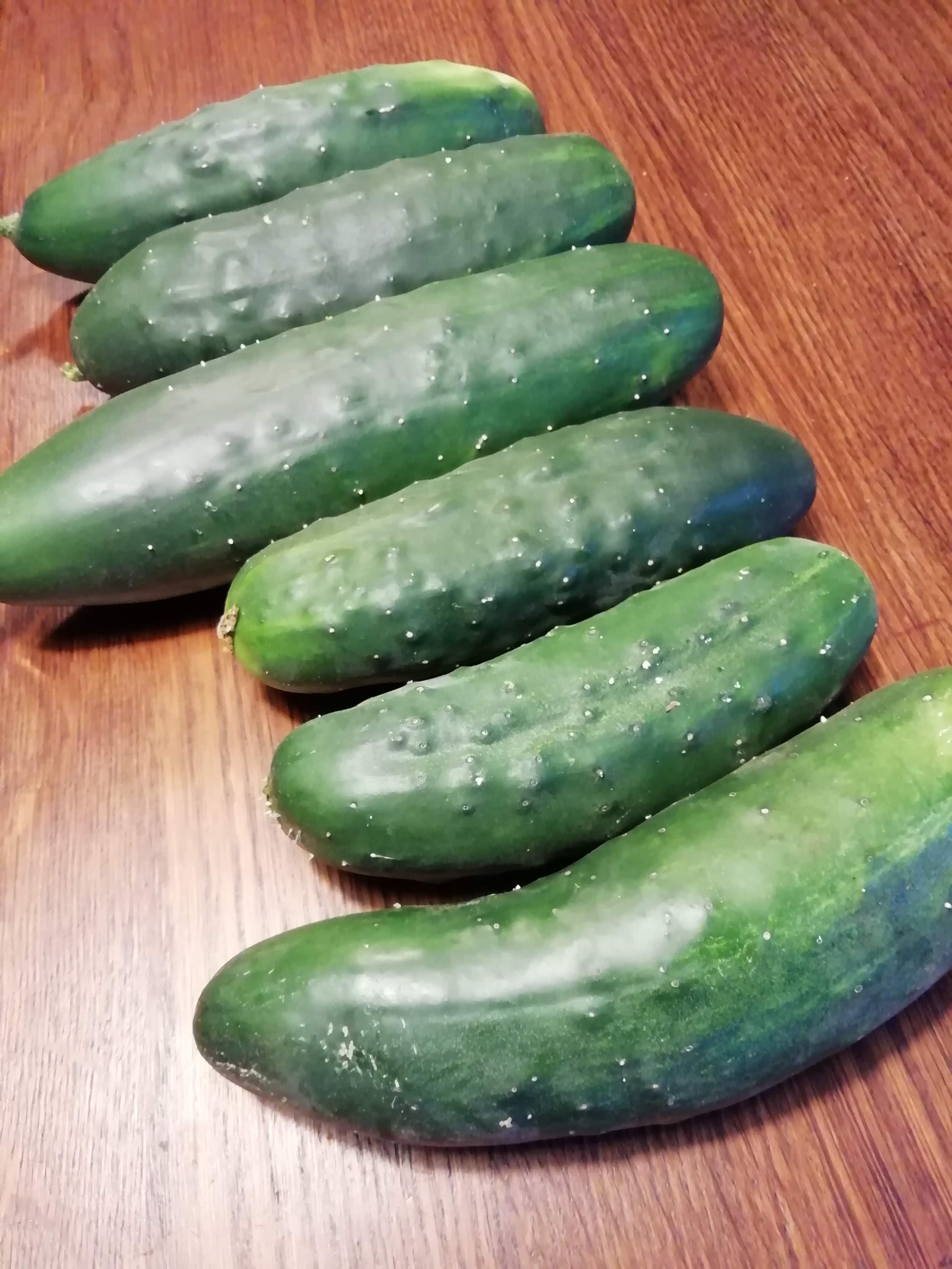 pepinos