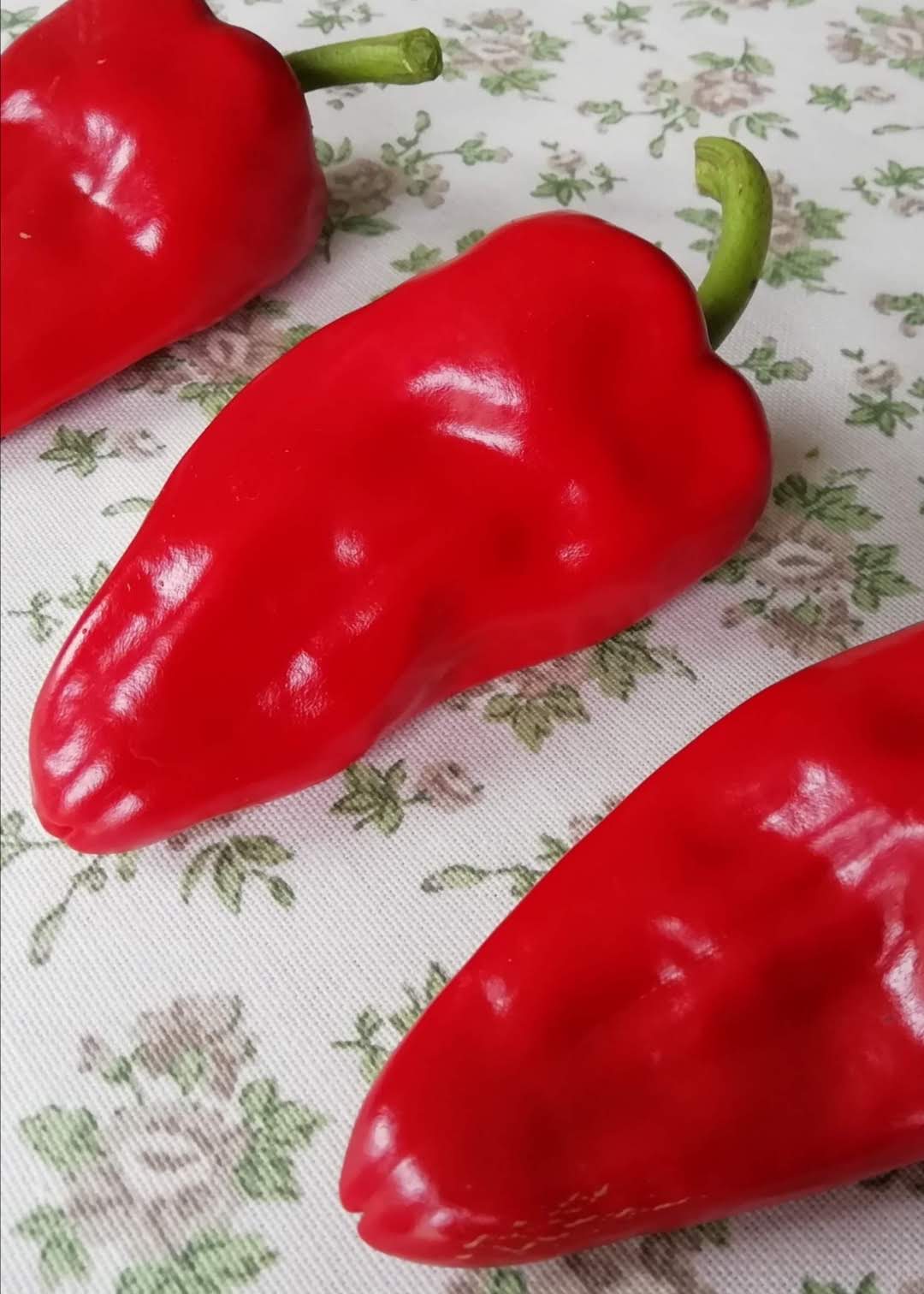 pimientos_piquillo