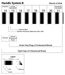 Hasidic System B Sys B2